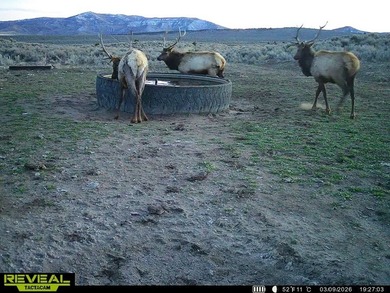 3D Mountain Ranch offers a rare four-season legacy property in - photo 29