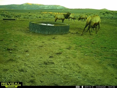 3D Mountain Ranch offers a rare four-season legacy property in - photo 30