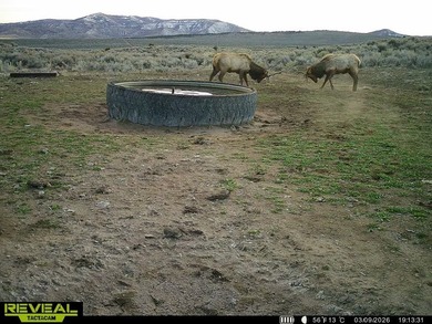 3D Mountain Ranch offers a rare four-season legacy property in - photo 31
