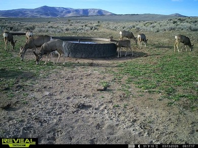 3D Mountain Ranch offers a rare four-season legacy property in - photo 32