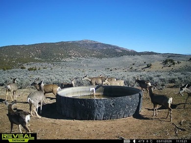 3D Mountain Ranch offers a rare four-season legacy property in - photo 33