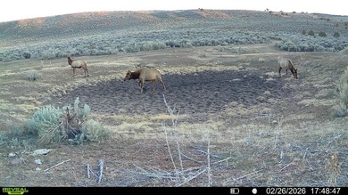 3D Mountain Ranch offers a rare four-season legacy property in - photo 34
