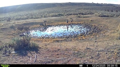3D Mountain Ranch offers a rare four-season legacy property in - photo 35