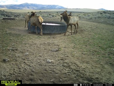 3D Mountain Ranch offers a rare four-season legacy property in - photo 36