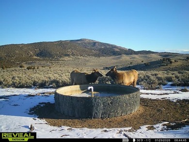 3D Mountain Ranch offers a rare four-season legacy property in - photo 37