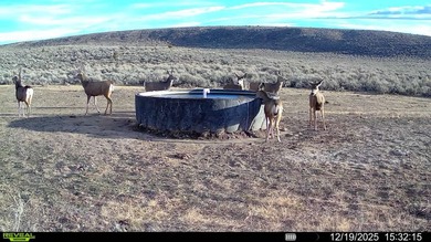 3D Mountain Ranch offers a rare four-season legacy property in - photo 40