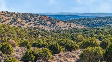 3D Mountain Ranch offers a rare four-season legacy property in - photo 42