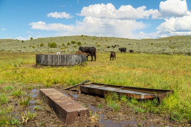 3D Mountain Ranch offers a rare four-season legacy property in - photo 46