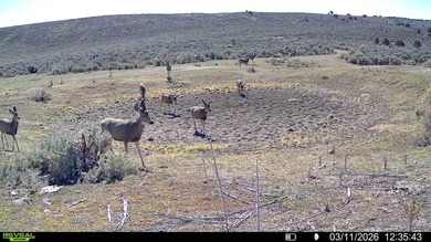 3D Mountain Ranch offers a rare four-season legacy property in - photo 48