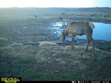 3D Mountain Ranch offers a rare four-season legacy property in - photo 49