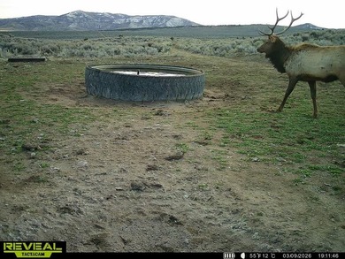 3D Mountain Ranch offers a rare four-season legacy property in - photo 50