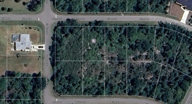 Port Charlotte Waterway Lakes Area Lot For Sale in Port Charlotte Florida