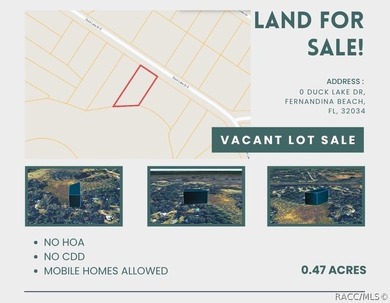 Build or place your home on this almost half-acre (0.47+/- acre) - photo 1