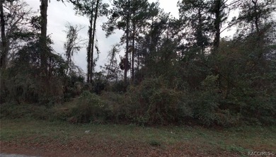 Build or place your home on this almost half-acre (0.47+/- acre) - photo 3