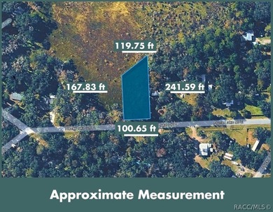 Build or place your home on this almost half-acre (0.47+/- acre) - photo 4