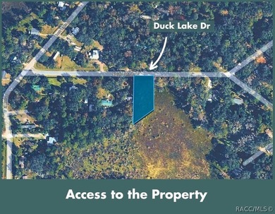 Build or place your home on this almost half-acre (0.47+/- acre) - photo 6