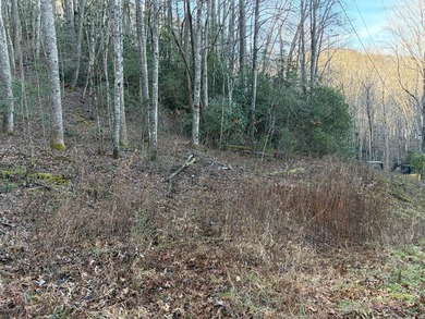 (private lake, pond, coastal) Acreage For Sale in Topton North Carolina