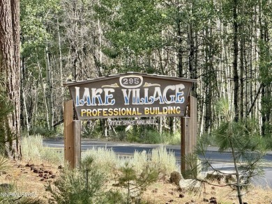 Lake Tahoe - Douglas County Office For Sale in Stateline Nevada