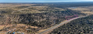 White Mountain Lake Lot For Sale in Shumway Arizona