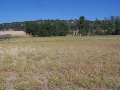 Lake Lot For Sale in Cottonwood, California