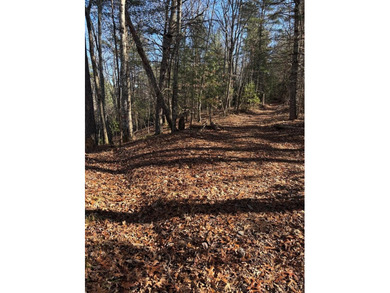 Lake Hiwassee Lot For Sale in Murphy North Carolina