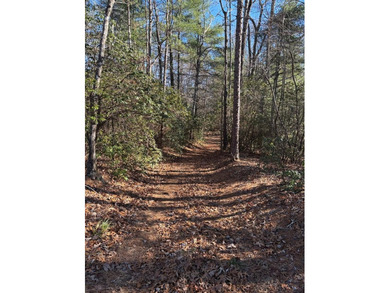 Lake Hiwassee Lot For Sale in Murphy North Carolina