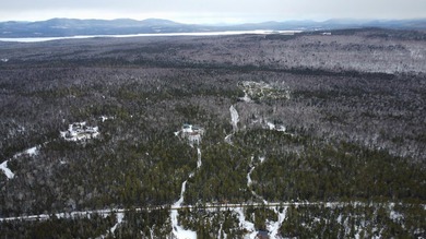 Incredible 25.33 acre parcel overlooking Mooselookmeguntic Lake - photo 1