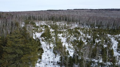 Incredible 25.33 acre parcel overlooking Mooselookmeguntic Lake - photo 3