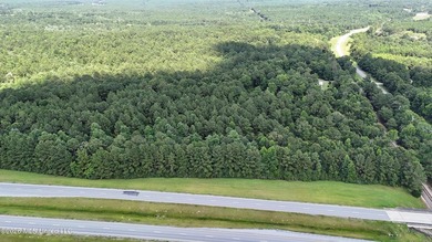 Discover the possibilities with this expansive 127.50+/- acre - photo 4