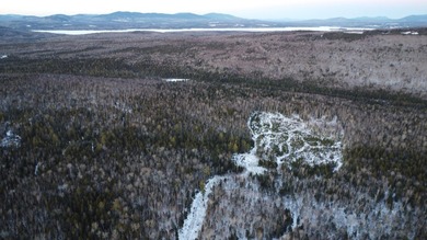 Incredible 25.33 acre parcel overlooking Mooselookmeguntic Lake - photo 4