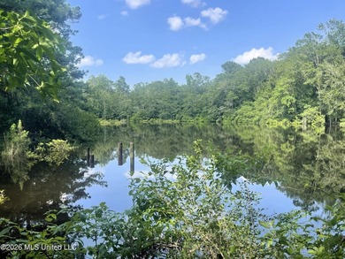 Discover the possibilities with this expansive 127.50+/- acre - photo 5