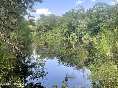 Discover the possibilities with this expansive 127.50+/- acre - photo 6