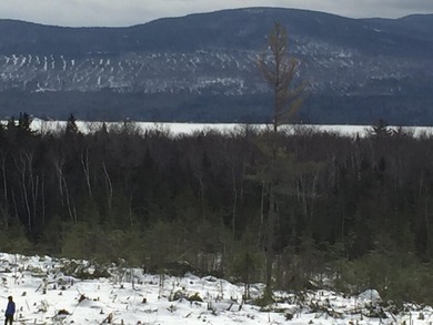 Incredible 25.33 acre parcel overlooking Mooselookmeguntic Lake - photo 6