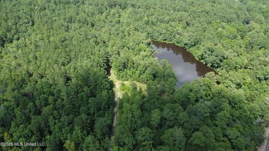 Discover the possibilities with this expansive 127.50+/- acre - photo 7