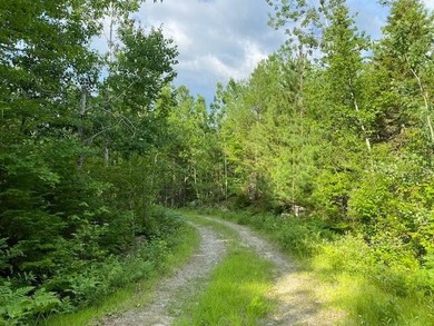 Incredible 25.33 acre parcel overlooking Mooselookmeguntic Lake - photo 7