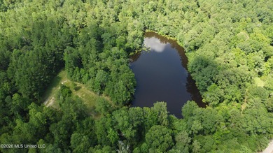 Discover the possibilities with this expansive 127.50+/- acre - photo 8
