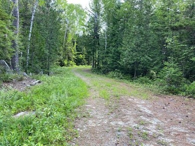 Incredible 25.33 acre parcel overlooking Mooselookmeguntic Lake - photo 8