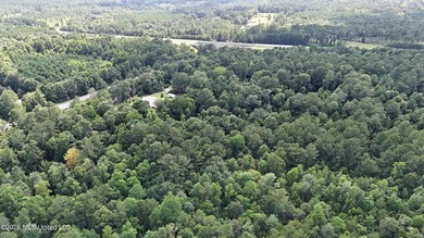 Discover the possibilities with this expansive 127.50+/- acre - photo 9