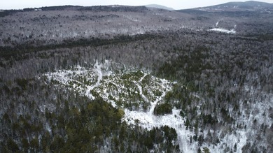 Incredible 25.33 acre parcel overlooking Mooselookmeguntic Lake - photo 9