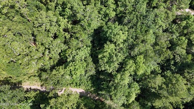Discover the possibilities with this expansive 127.50+/- acre - photo 10