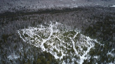 Incredible 25.33 acre parcel overlooking Mooselookmeguntic Lake - photo 10