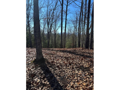 Lake Hiwassee Lot For Sale in Murphy North Carolina