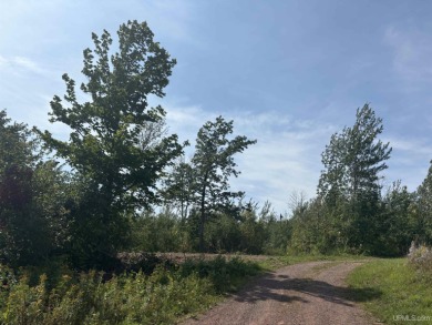 Sunday Lake Acreage Sale Pending in Bessemer Michigan