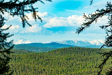Premium 20 acre build lot in the Homestead with infrastructure - photo 4