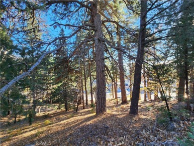 Lake Arrowhead Lot For Sale in Rimforest California