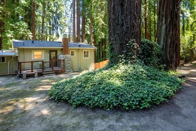 Nestled beneath a canopy of majestic redwood trees on a spacious - photo 33