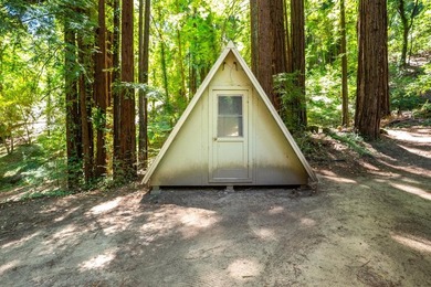 Nestled beneath a canopy of majestic redwood trees on a spacious - photo 39