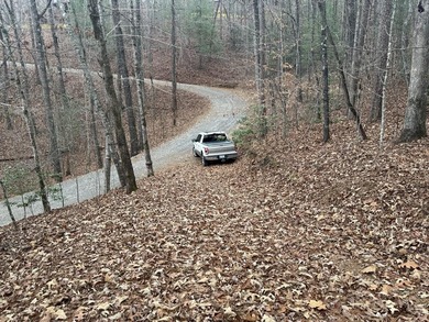 Lake Hiwassee Lot For Sale in Murphy North Carolina