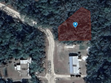 Lake Lot For Sale in Interlachen, Florida
