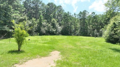 Discover the perfect starter home or weekend getaway in this - photo 28